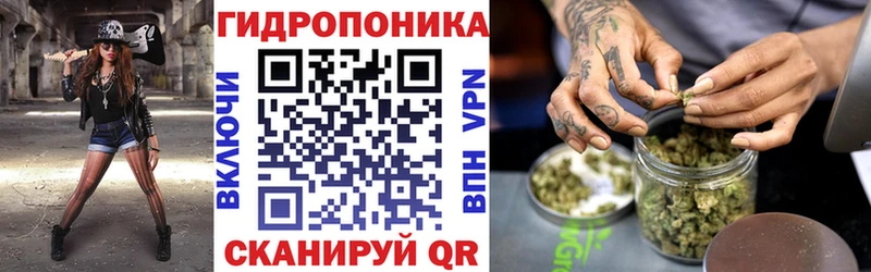 Гашиш Боровичи