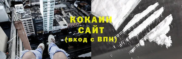 гашик Арсеньев