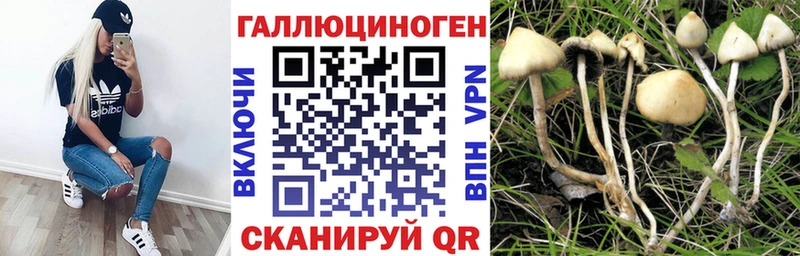 Галлюциногенные грибы Psilocybine cubensis  ОМГ ОМГ ссылки  Боровичи  сколько стоит 